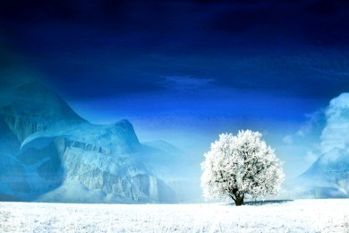保險(xiǎn)公司業(yè)務(wù)經(jīng)理述職報(bào)告（匯總14篇）