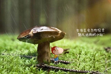 快手無限流量卡100g？快手19元100g流量卡是真的嗎