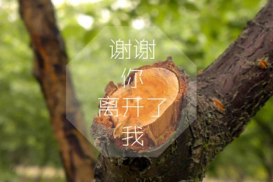 微信公眾號官網登錄入口mp.weixin.qq.com.